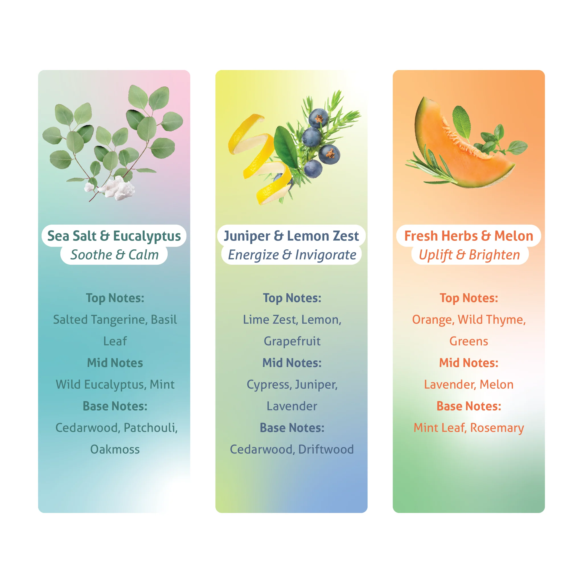 Dish Soap - 3 Pack - Image 4